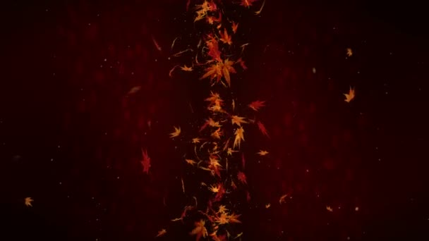 Les feuilles d'automne tombent. Confettis de feuillage d'automne. Animation en boucle d'érable 3D. Beau fond rouge automnal .
