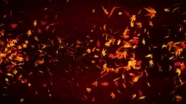 Autumn Leaves Falling Autumn Foliage Confetti Maple Loop Animation Beautiful — Stock Video