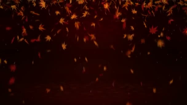 Autumn Leaves Falling Autumn Foliage Confetti Maple Loop Animation Beautiful — Stock Video