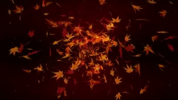 Hojas Otoño Cayendo Confeti Follaje Otoño Animación Bucle Arce Fondo — Vídeo de stock