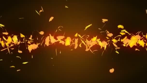 Herfstbladeren Vallen Herfst Gebladerte Confetti Ginkgo Lus Animatie Mooie Herfst — Stockvideo