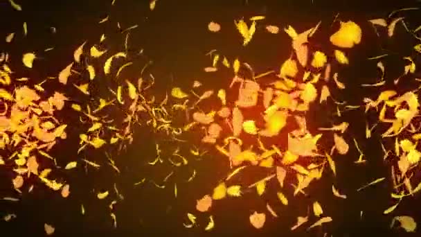Autumn Leaves Falling Autumn Foliage Confetti Ginkgo Loop Animation Beautiful — Stock Video