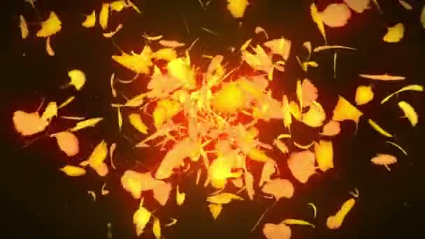 秋天的叶子飘落 秋天的树叶五彩纸屑 银杏循环动画 美丽的秋天橙色背景 — 图库视频影像
