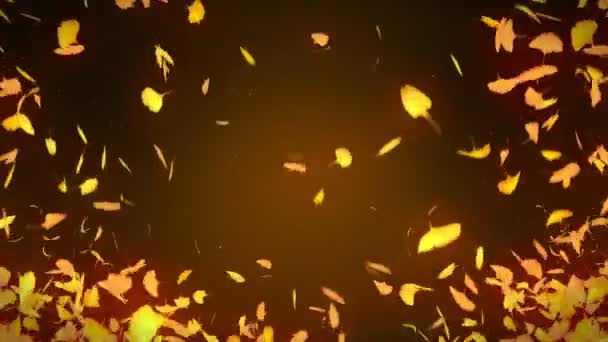 Autumn Leaves Falling Autumn Foliage Confetti Ginkgo Loop Animation Beautiful — Stock Video