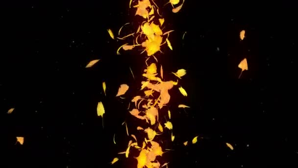 Les Feuilles Automne Tombent Confettis Feuillage Automne Animation Boucle Ginkgo — Video