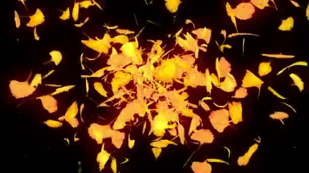 Herfst Bladeren Vallen Herfst Gebladerte Confetti Ginkgo Lus Animatie Mooie — Stockvideo