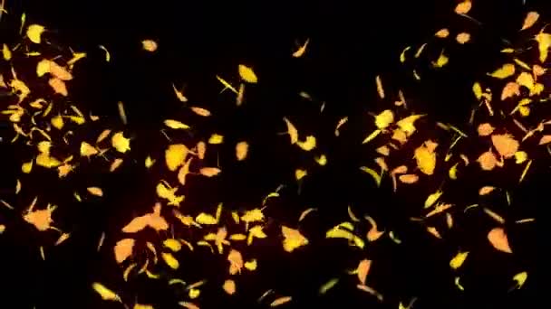 Autumn Leaves Falling Autumn Foliage Confetti Ginkgo Loop Animation Beautiful — Stock Video