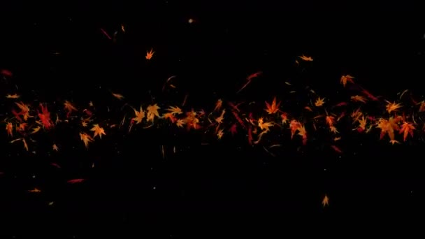Herbstblätter Fallen Herbstliches Laubkonfetti Maple Loop Animation Schöner Herbstlicher Schwarzer — Stockvideo
