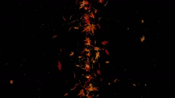 紅葉が落ちる 秋の葉の紙吹雪 メープルループアニメーション 美しい秋の黒の背景 — ストック動画