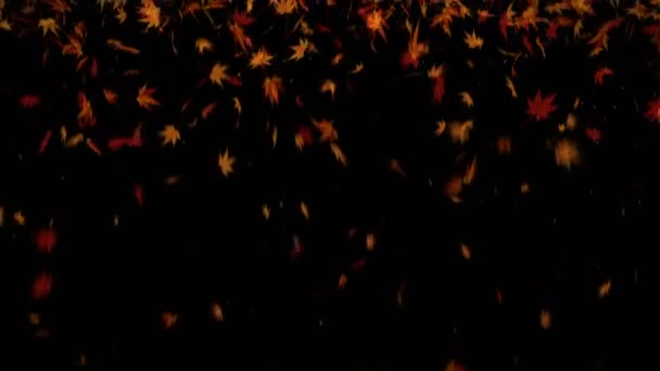 Les Feuilles Automne Tombent Confettis Feuillage Automne Animation Boucle Érable — Video