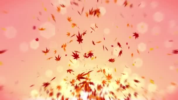 Herbstblätter Fallen Auf Orangefarbenen Hintergrund Schönes Ahornblatt Schleifen Glitzeranimation — Stockvideo