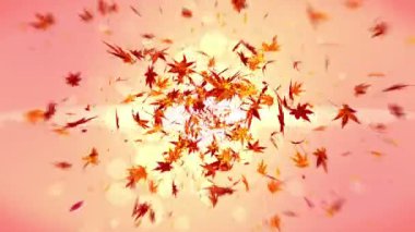 Sonbahar turuncu arka planda düşen yaprakları. Güzel akçaağaç yaprağı. Döngü Glitter animasyon.