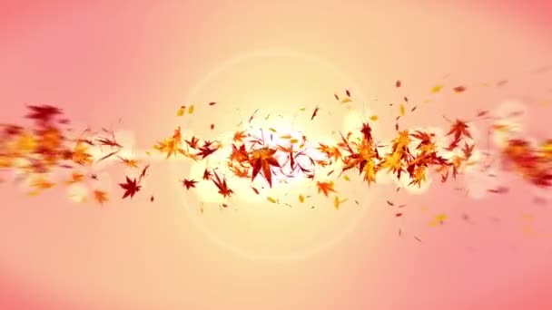 Herfstbladeren Vallen Oranje Achtergrond Mooie Esdoornblad Lus Glitter Animatie — Stockvideo