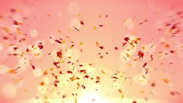 Herfstbladeren Vallen Oranje Achtergrond Mooie Esdoornblad Lus Glitter Animatie — Stockvideo