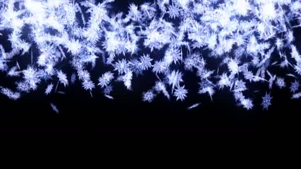 Schneefall Drehung Des Schneekristalls Weihnachten Schneeflocke Wintersaison Animation Einer Schneekonfettischleife — Stockvideo