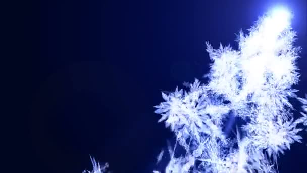 Caída Del Efecto Nieve Giro Cristal Nieve Navidad Copo Nieve — Vídeos de Stock