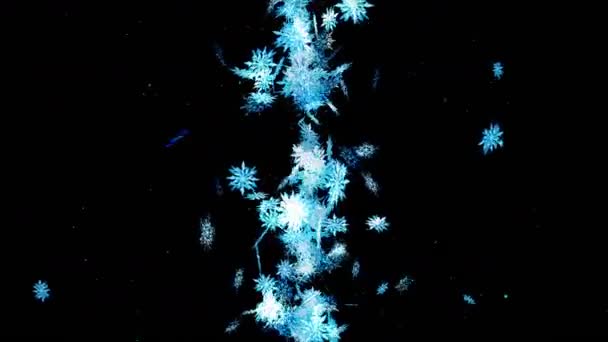 冬天雪水晶飘落 美丽的雪作用在黑色背景 圣诞节 雪花循环动画 — 图库视频影像
