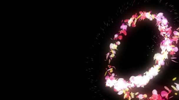 五颜六色的花瓣正在落下 春天花背景 美丽闪亮的花瓣 — 图库视频影像