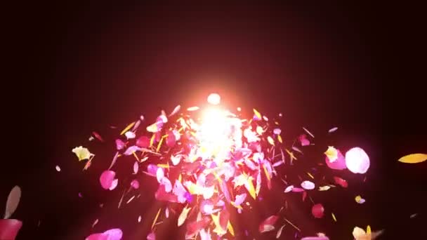 Colorful Petals Falling Spring Flower Background Loop Animation Pretty Shiny — Stock Video