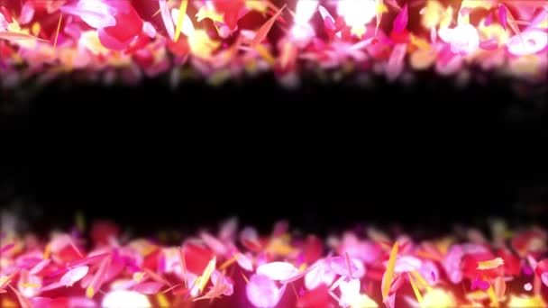 Πολύχρωμα Πέταλα Πέφτουν Φόντο Λουλούδι Άνοιξη Κίνηση Βρόχου Αρκετά Λαμπερά — Αρχείο Βίντεο
