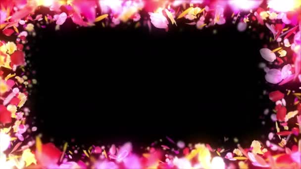 Πολύχρωμα Πέταλα Πέφτουν Φόντο Λουλούδι Άνοιξη Κίνηση Βρόχου Αρκετά Λαμπερά — Αρχείο Βίντεο