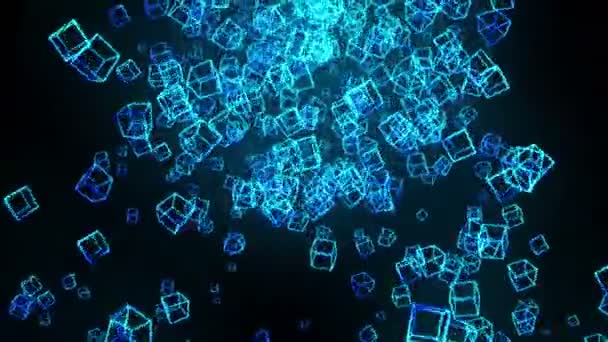 Cubi Blu Sfondo Nero Connessione Cubi Con Poligonali Geometrici Animazione — Video Stock