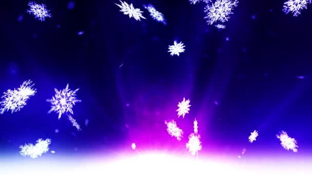 Winter Snow Light Background Snow Landscape Falling Snowflake Snow Stars — Stock Video