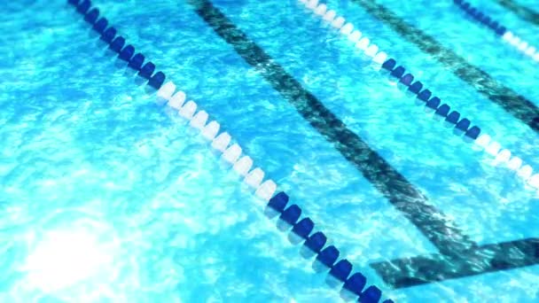 Yarış Kulvarlı Yüzme Havuzu Güzel Lüks Yüzme Havuzu Yaz Tatilleri — Stok video