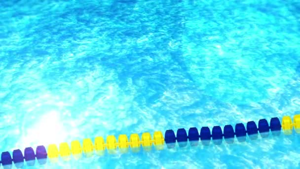 Swimming Pool Racing Lanes Beautiful Luxury Swimming Pool Concept Summer — Stock Video