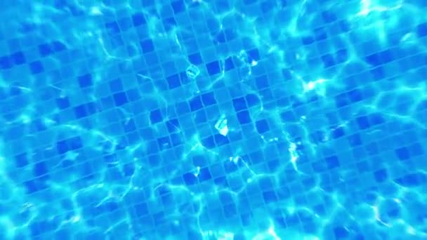 Aerial View Swimming Pool Relaxation Healing Concept Swimming Animation Top — Stock Video