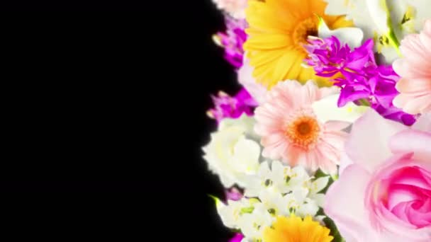 Muchas Flores Coloridas Bucle Animación Flores Color Arco Iris Jardín — Vídeo de stock