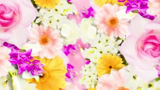 Veel Kleurrijke Bloemen Lus Animatie Regenboog Kleur Bloemen Tuin Gevuld — Stockvideo