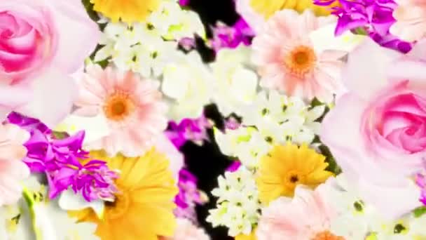 Muchas Flores Coloridas Bucle Animación Flores Color Arco Iris Jardín — Vídeos de Stock