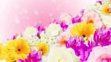 Birçok renkli çiçek döngü animasyonu. Gökkuşağı renkli çiçekler. Renkli çiçeklerle dolu bir bahçe..