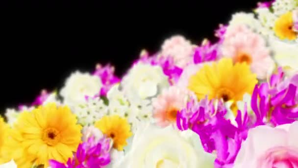 Veel Kleurrijke Bloemen Lus Animatie Regenboog Kleur Bloemen Tuin Gevuld — Stockvideo