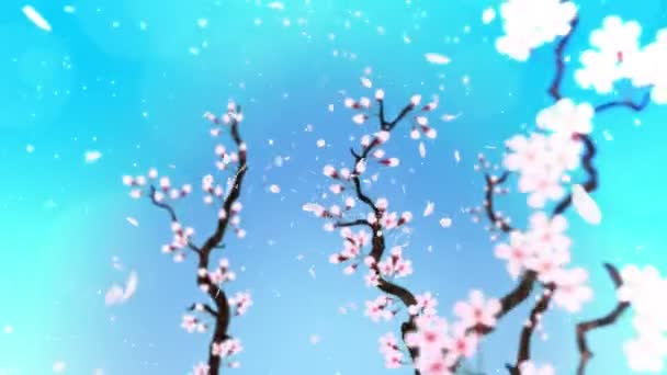 Kirschbaum Voller Blüte Kirschzweig Sakura Blüht Rosa Kirschblütenblauer Hintergrund Schleifenanimation — Stockvideo