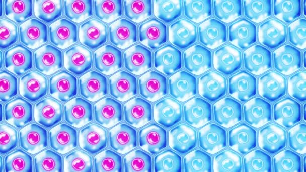 Cellules Peau Humaine Chaque Cellule Avec Membrane Thérapie Cellulaire Traitement — Video
