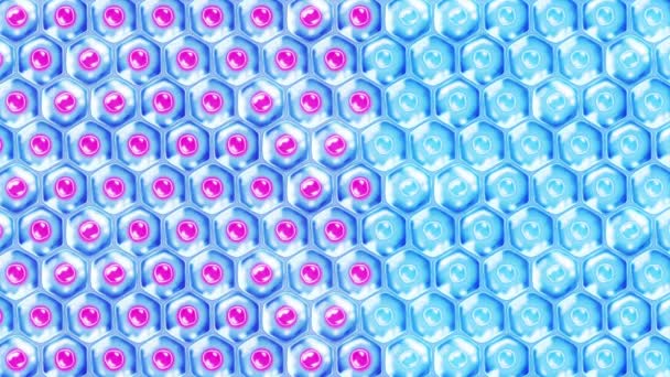 Cellules Peau Humaine Chaque Cellule Avec Membrane Thérapie Cellulaire Traitement — Video