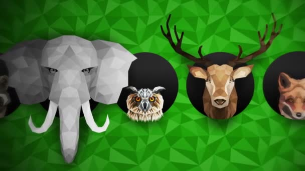 Collection Different Animals Zoo Symbol Low Polygon Icons Lion Gorilla — Stock Video