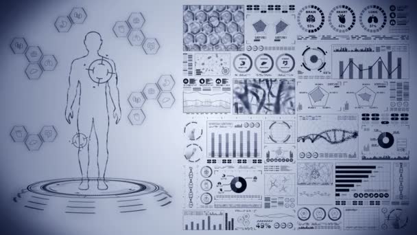 Människans Virtuella Kropp Människans Medicinska Hologramanimation Diagram Diagram Infografik Medicin — Stockvideo