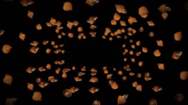 Siyah Arka Planda Birçok Sonbahar Meşe Palamudu Uçuruyorum Sonbahar Sembolü — Stok video