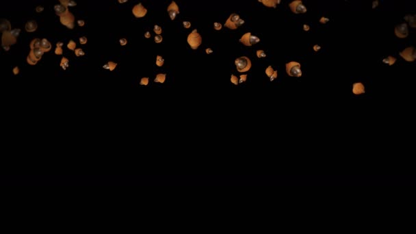 Flying Many Autumn Acorns Black Background Symbol Fall Oak Nuts — Stock Video