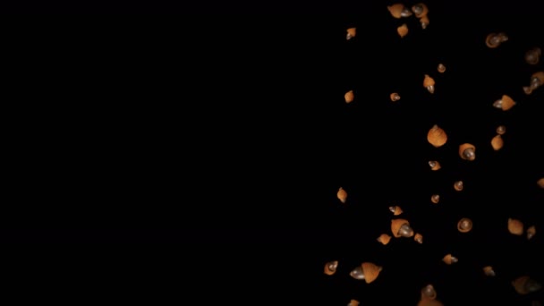 Latający Wiele Jesiennych Żołędzi Czarnym Tle Symbol Upadku Orzechy Dębowe — Wideo stockowe