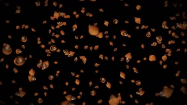 Siyah Arka Planda Birçok Sonbahar Meşe Palamudu Uçuruyorum Sonbahar Sembolü — Stok video