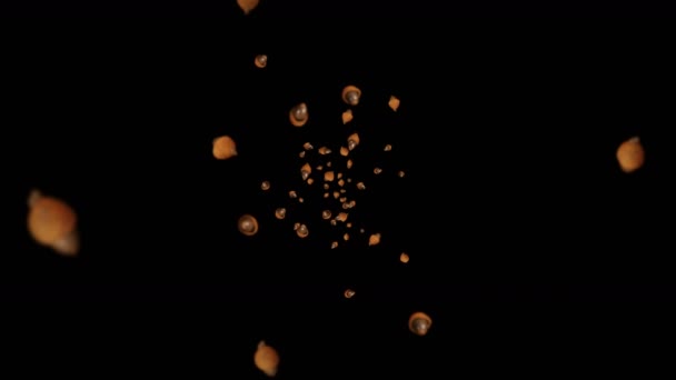 Літає Багато Осінніх Жолудів Чорному Тлі Символ Падіння Дубові Горіхи — стокове відео