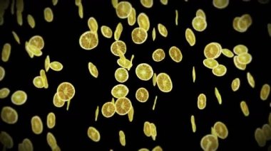 Siyah arka planda bir sürü kurutulmuş limon uçurmak. Susuz meyve, yiyecek konsepti. Dilimlenmiş meyve limonlarının dönüşümlü 3 boyutlu animasyonu. Döngü canlandırması.