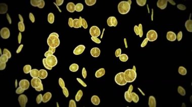 Siyah arka planda bir sürü kurutulmuş limon uçurmak. Susuz meyve, yiyecek konsepti. Dilimlenmiş meyve limonlarının dönüşümlü 3 boyutlu animasyonu. Döngü canlandırması.