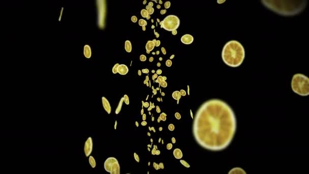 Fliegen Viele Getrocknete Zitronen Auf Schwarzem Hintergrund Trockenfrüchte Ernährungskonzept Animation — Stockvideo