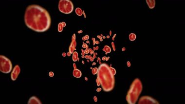 Siyah arka planda bir sürü kurutulmuş portakal uçurmak. Susuz meyve, yiyecek konsepti. Dilimlenmiş meyve portakallarının dönüşümlü 3 boyutlu animasyonu. Döngü canlandırması.