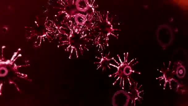 Ochranný Štít Koncept Lékařského Imunitního Systému Bakterie Virová Obrana Chránit — Stock video